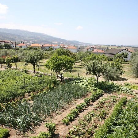 Casa Do Cabeco Vendégház Seia Kültér fotó